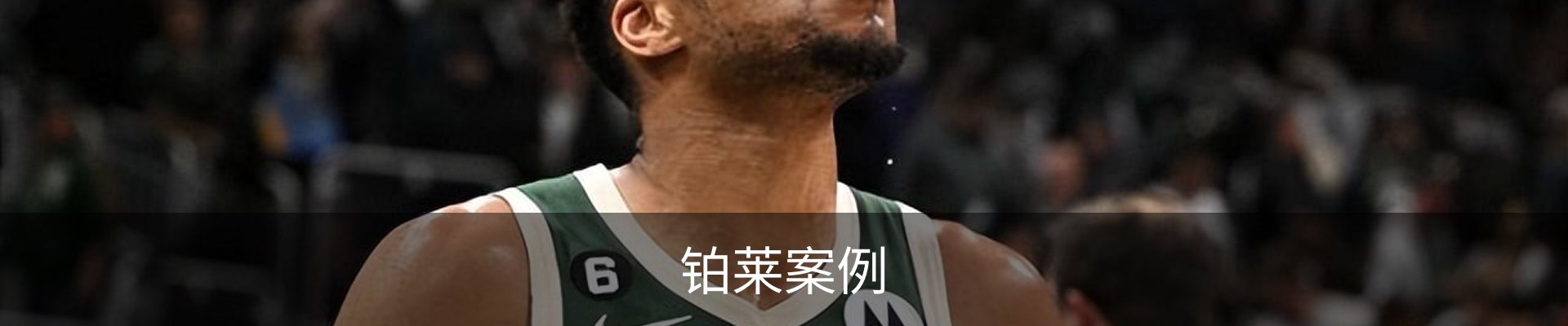 铂莱案例